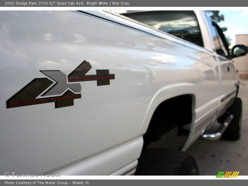 Bright White / Mist Gray 2002 Dodge Ram 2500 SLT Quad Cab 4x4