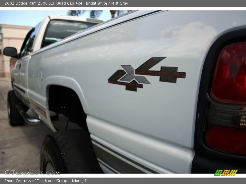 Bright White / Mist Gray 2002 Dodge Ram 2500 SLT Quad Cab 4x4