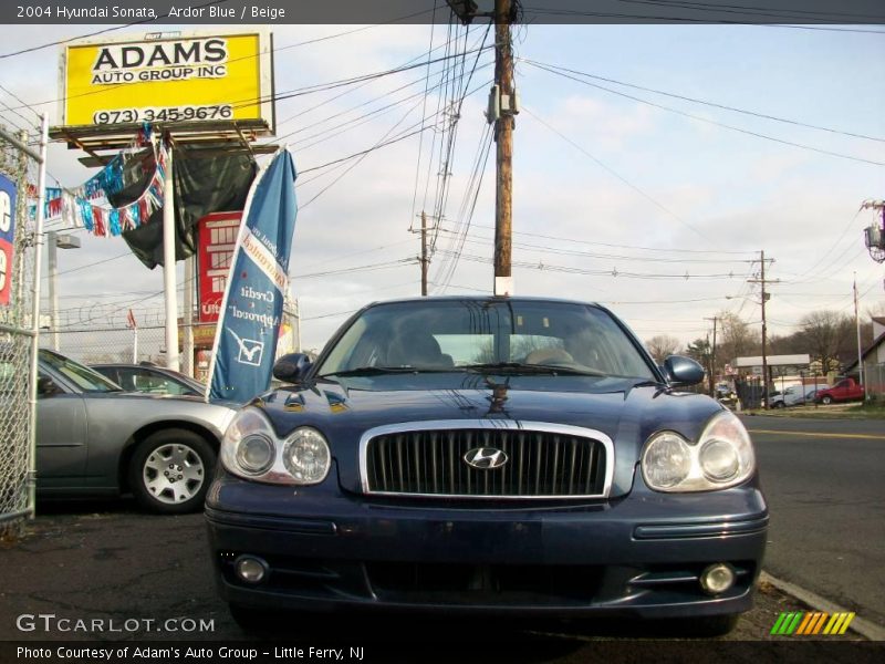 Ardor Blue / Beige 2004 Hyundai Sonata