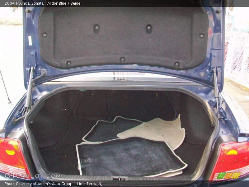 Ardor Blue / Beige 2004 Hyundai Sonata