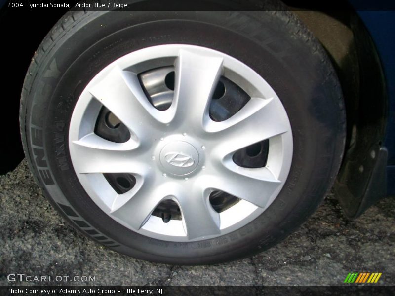 Ardor Blue / Beige 2004 Hyundai Sonata