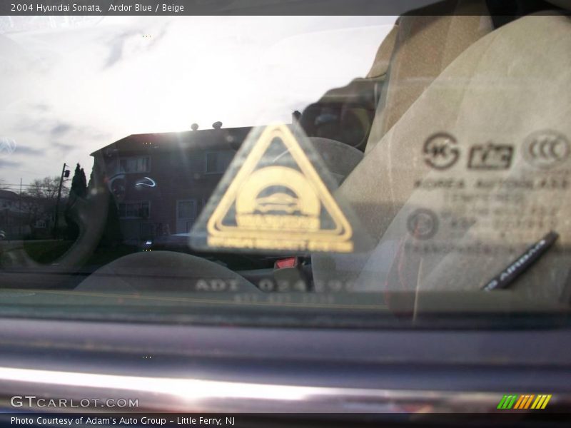 Ardor Blue / Beige 2004 Hyundai Sonata