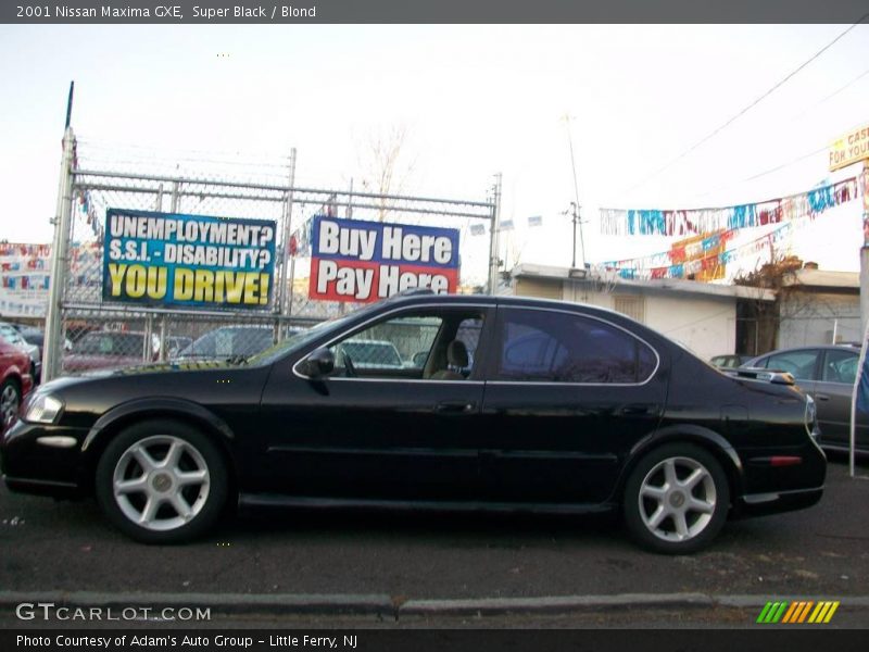 Super Black / Blond 2001 Nissan Maxima GXE