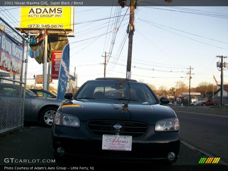 Super Black / Blond 2001 Nissan Maxima GXE