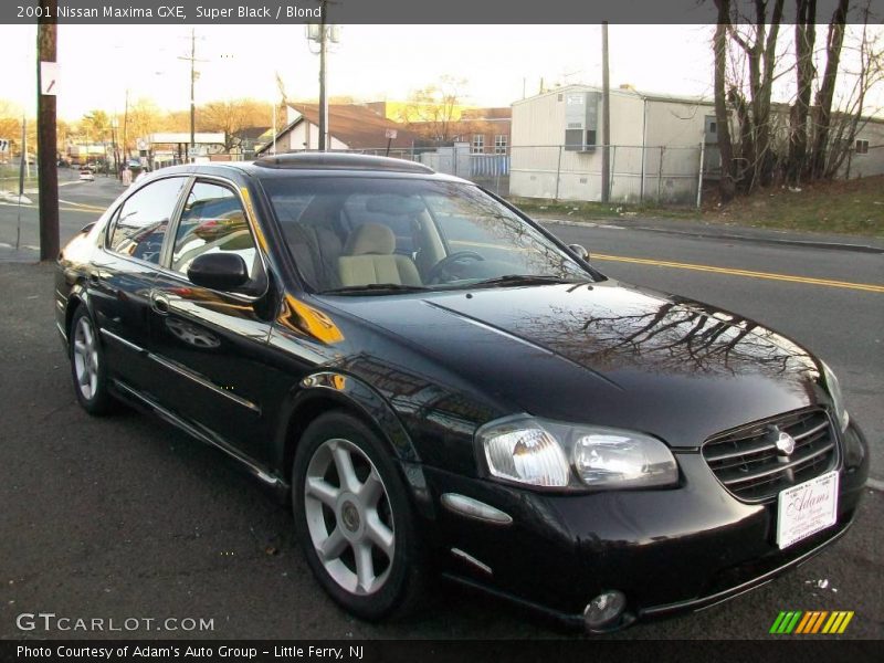 Super Black / Blond 2001 Nissan Maxima GXE