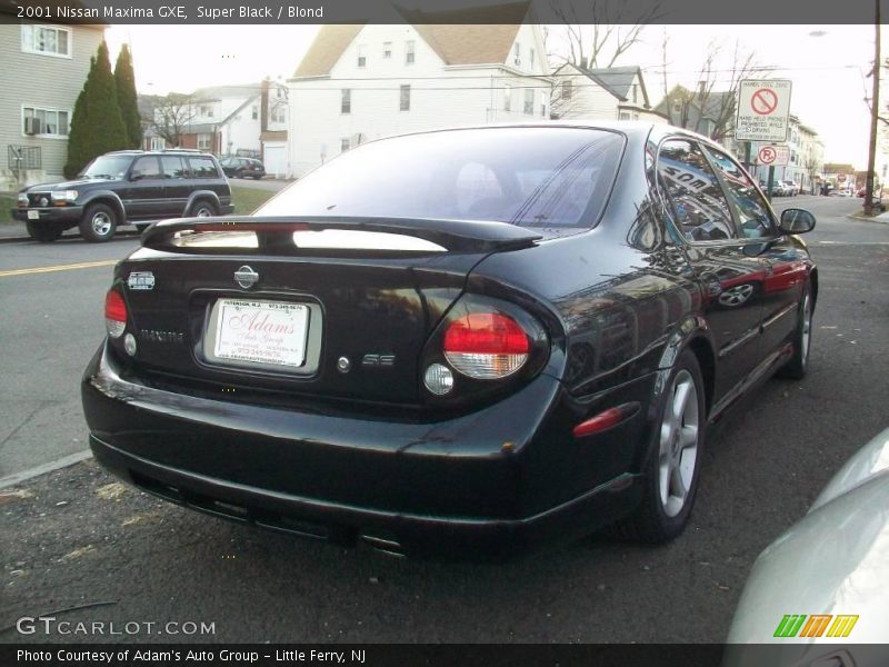 Super Black / Blond 2001 Nissan Maxima GXE