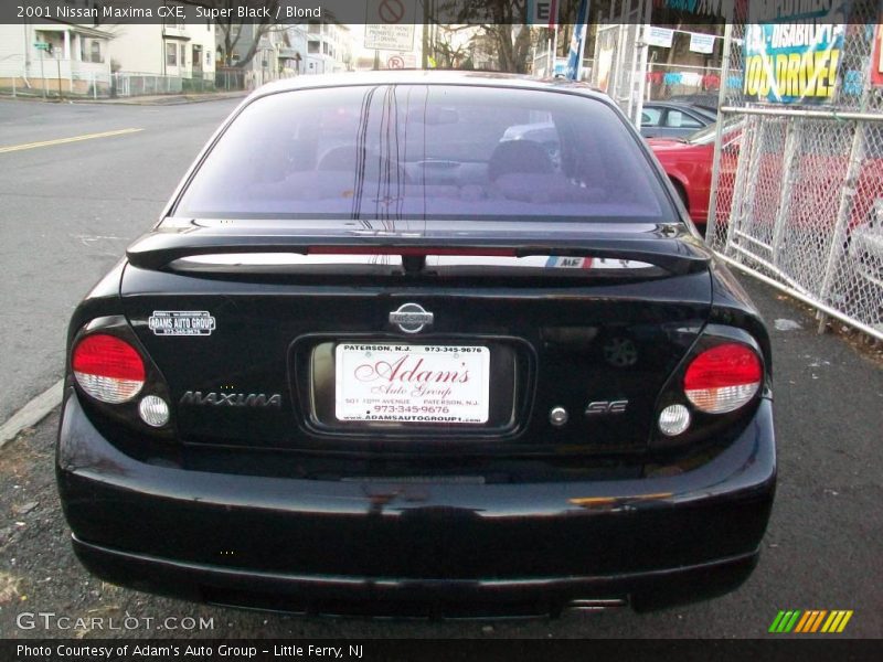 Super Black / Blond 2001 Nissan Maxima GXE