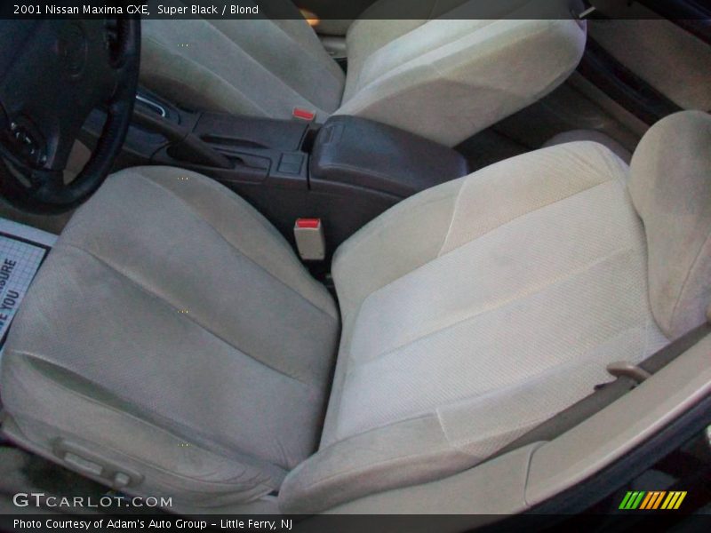 Super Black / Blond 2001 Nissan Maxima GXE
