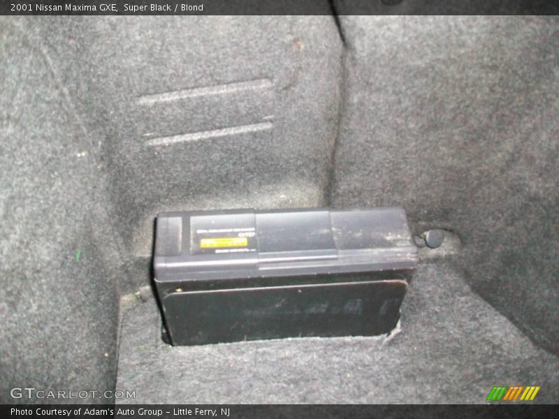 Super Black / Blond 2001 Nissan Maxima GXE