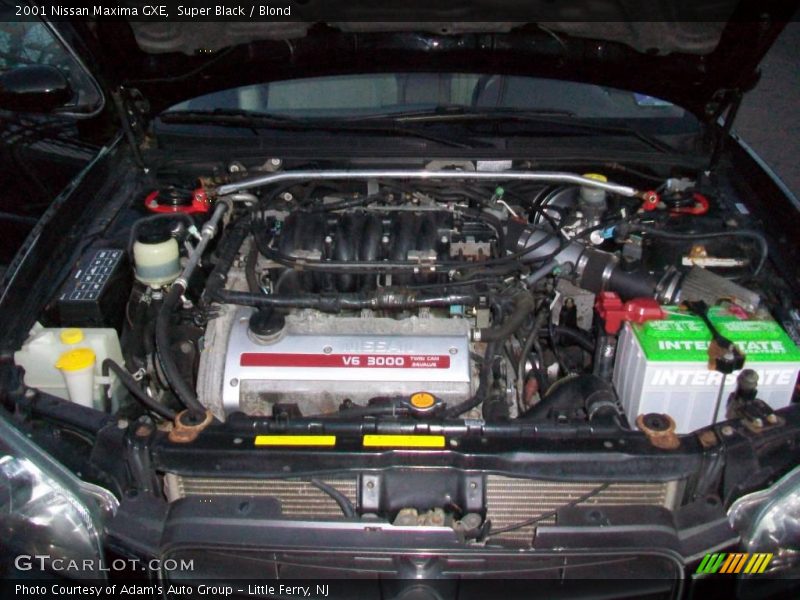 Super Black / Blond 2001 Nissan Maxima GXE