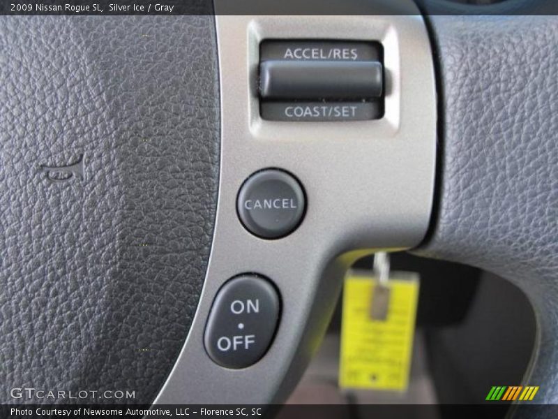 Silver Ice / Gray 2009 Nissan Rogue SL