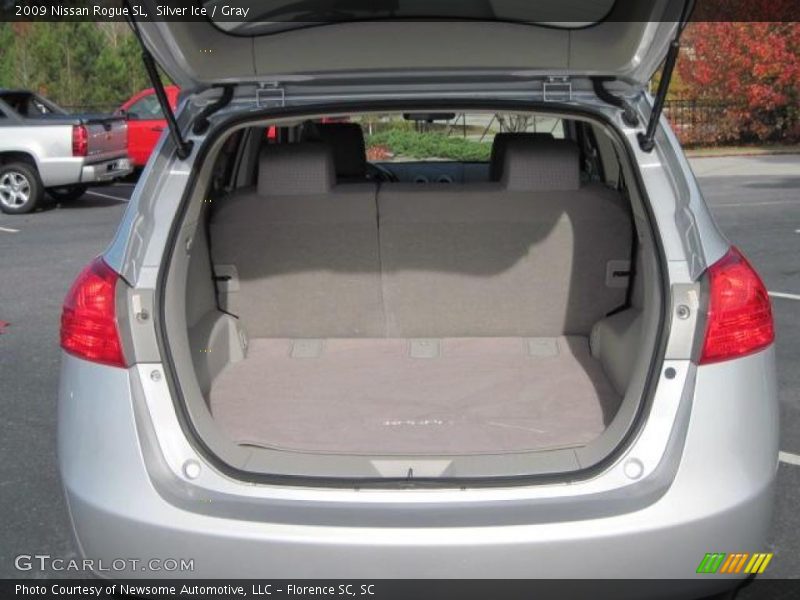 Silver Ice / Gray 2009 Nissan Rogue SL