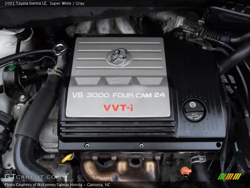 Super White / Gray 2001 Toyota Sienna LE
