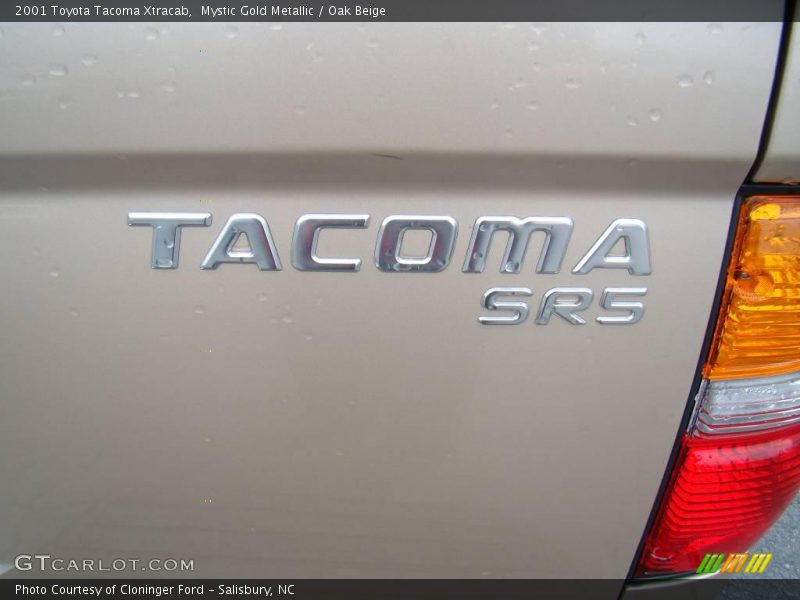 Mystic Gold Metallic / Oak Beige 2001 Toyota Tacoma Xtracab