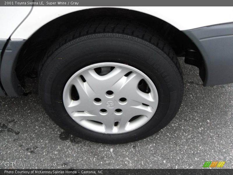 Super White / Gray 2001 Toyota Sienna LE