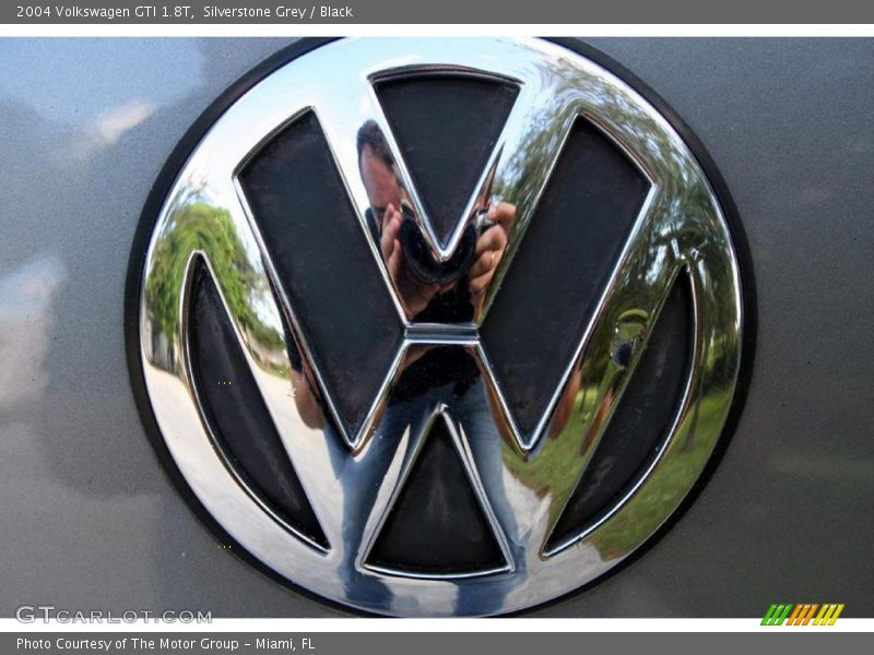 Silverstone Grey / Black 2004 Volkswagen GTI 1.8T