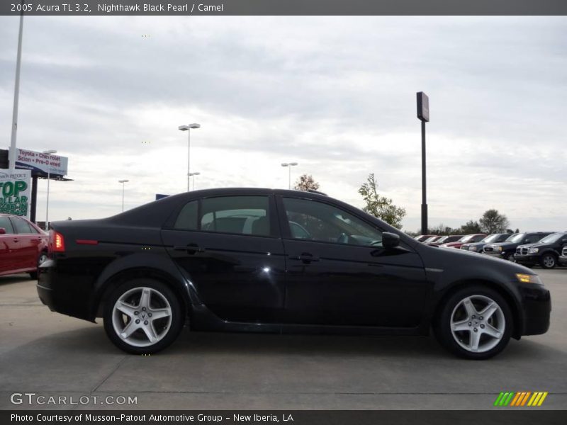 Nighthawk Black Pearl / Camel 2005 Acura TL 3.2