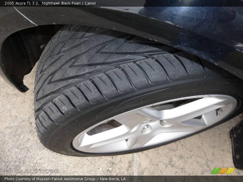 Nighthawk Black Pearl / Camel 2005 Acura TL 3.2