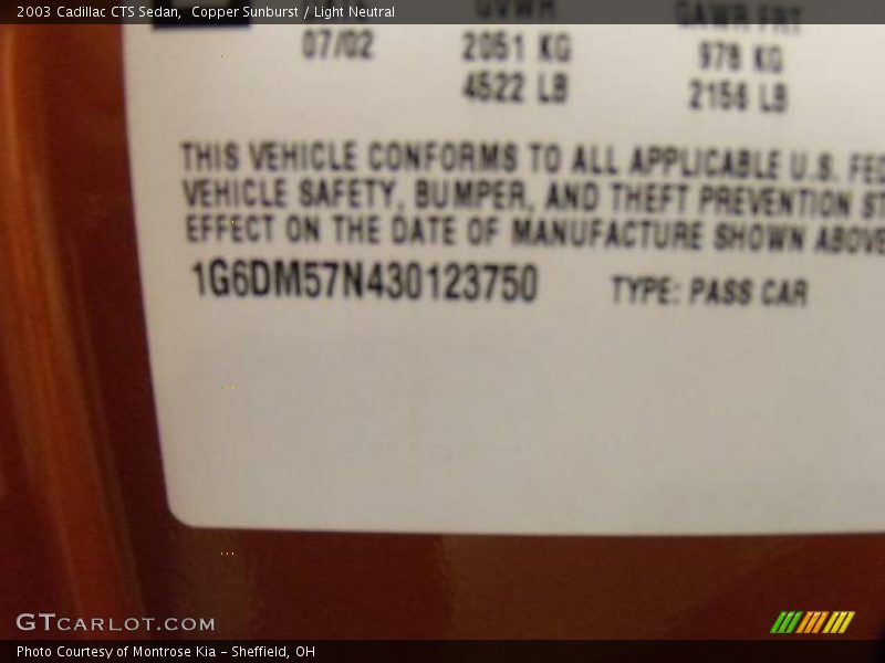Copper Sunburst / Light Neutral 2003 Cadillac CTS Sedan