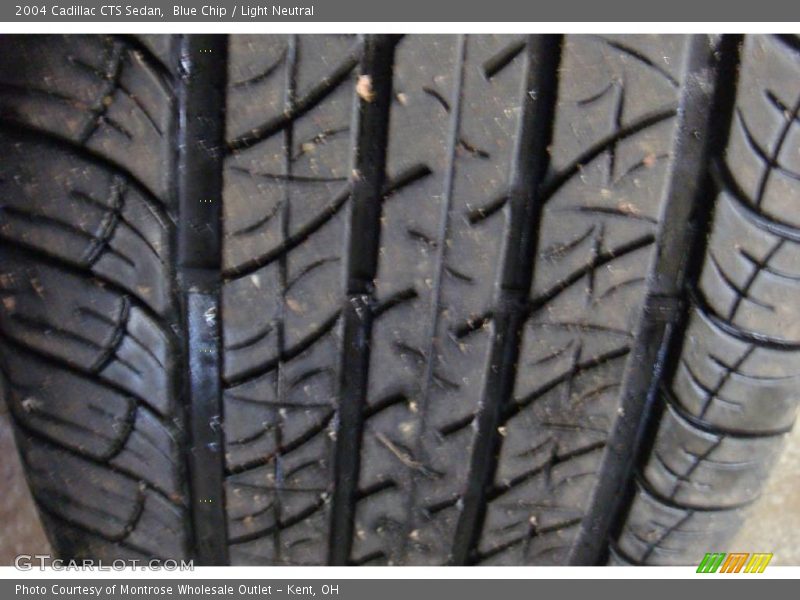 Blue Chip / Light Neutral 2004 Cadillac CTS Sedan