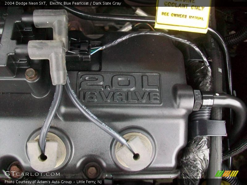 Electric Blue Pearlcoat / Dark Slate Gray 2004 Dodge Neon SXT