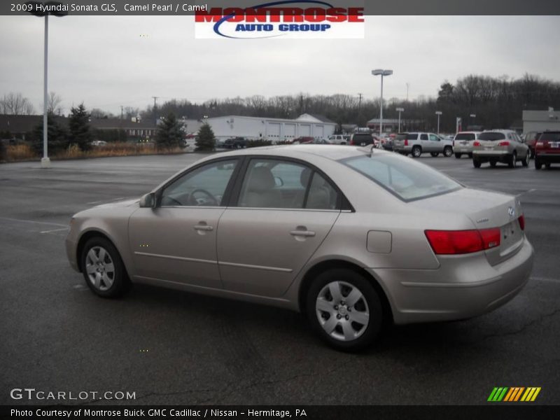 Camel Pearl / Camel 2009 Hyundai Sonata GLS