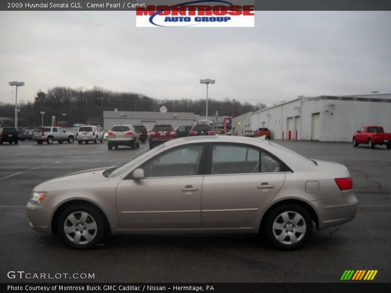 Camel Pearl / Camel 2009 Hyundai Sonata GLS