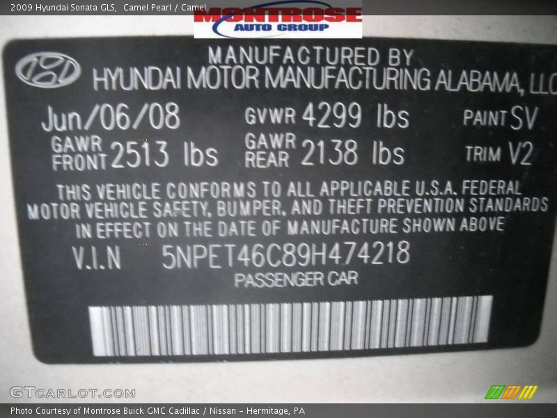 Camel Pearl / Camel 2009 Hyundai Sonata GLS
