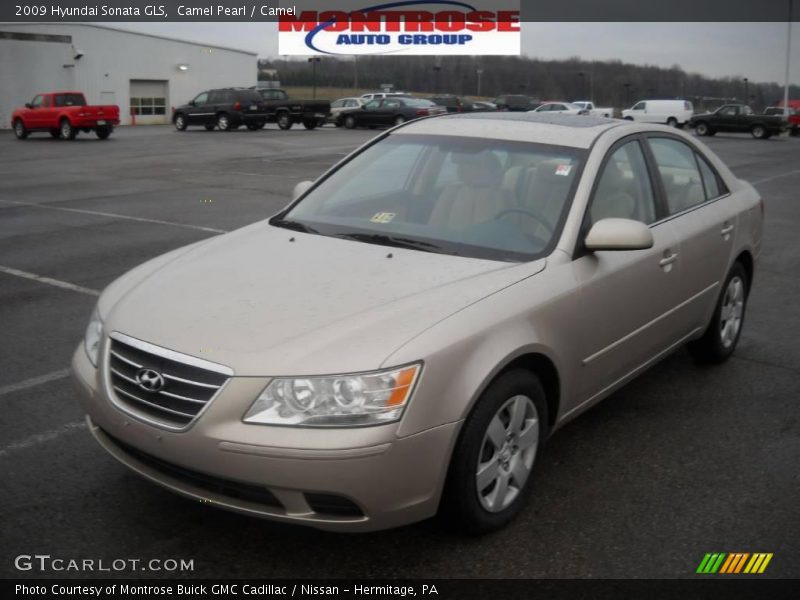 Camel Pearl / Camel 2009 Hyundai Sonata GLS