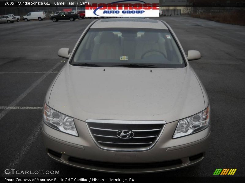 Camel Pearl / Camel 2009 Hyundai Sonata GLS