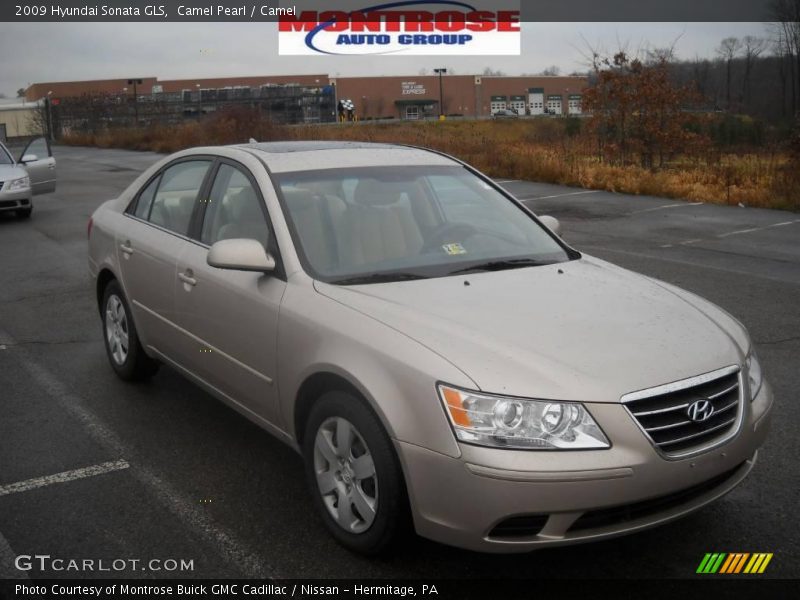 Camel Pearl / Camel 2009 Hyundai Sonata GLS