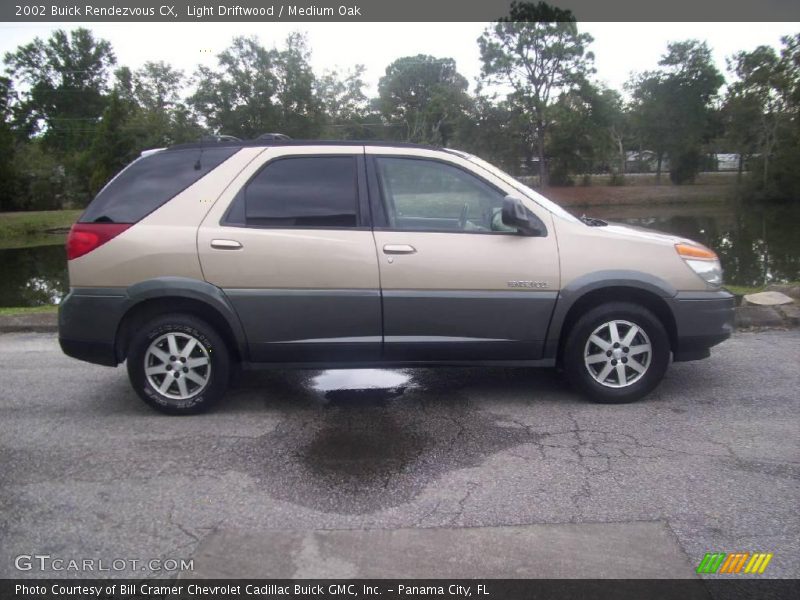 Light Driftwood / Medium Oak 2002 Buick Rendezvous CX