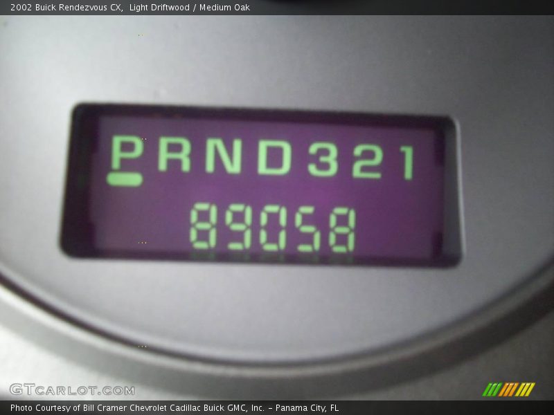 Light Driftwood / Medium Oak 2002 Buick Rendezvous CX