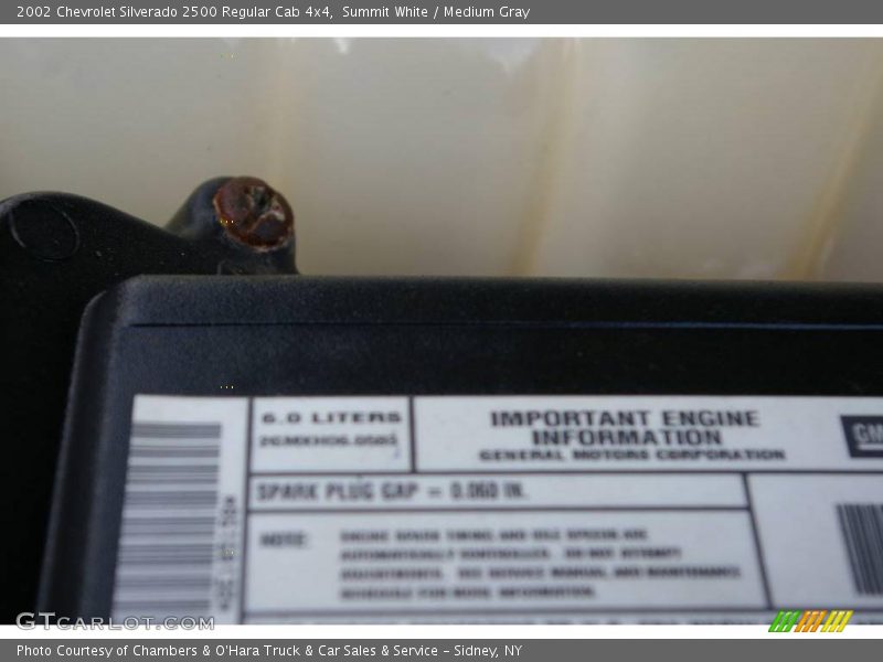 Summit White / Medium Gray 2002 Chevrolet Silverado 2500 Regular Cab 4x4