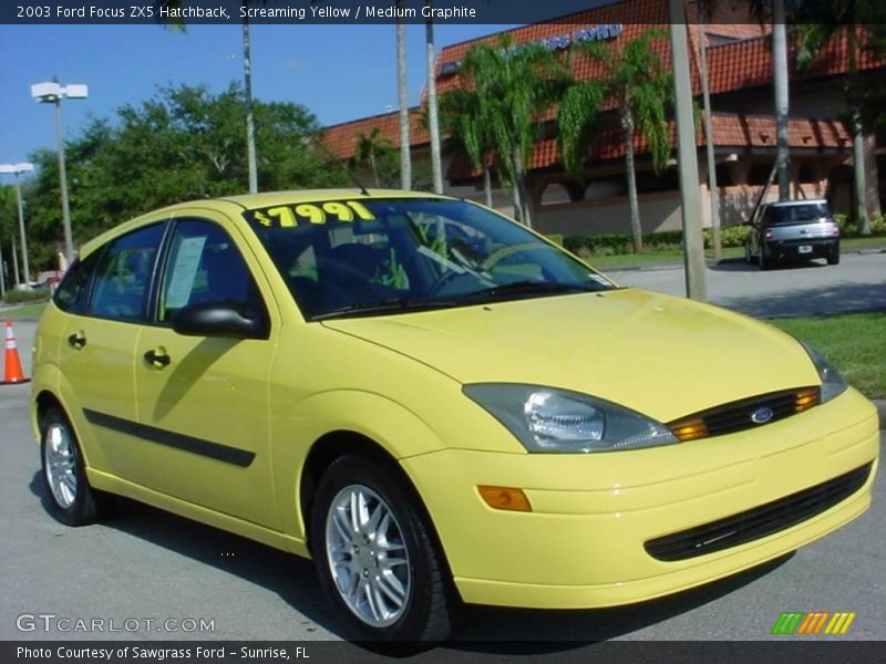 Screaming Yellow / Medium Graphite 2003 Ford Focus ZX5 Hatchback