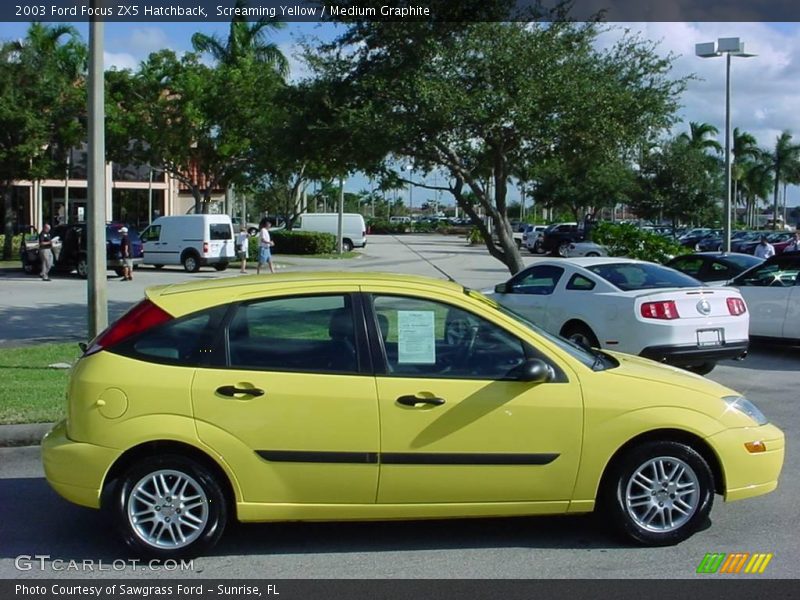 Screaming Yellow / Medium Graphite 2003 Ford Focus ZX5 Hatchback