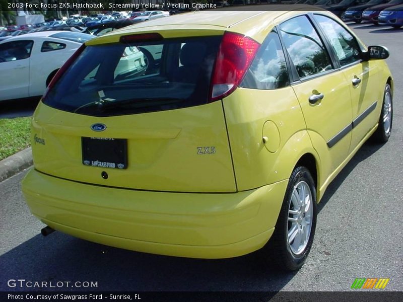 Screaming Yellow / Medium Graphite 2003 Ford Focus ZX5 Hatchback