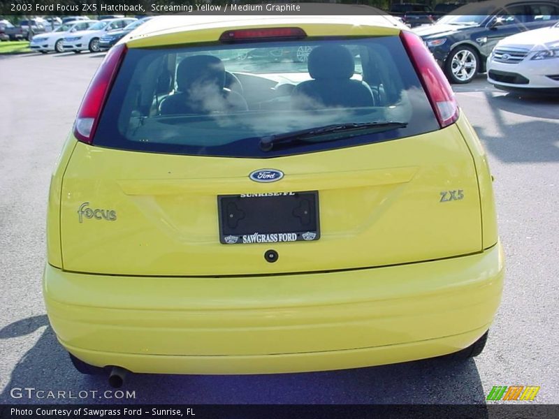 Screaming Yellow / Medium Graphite 2003 Ford Focus ZX5 Hatchback