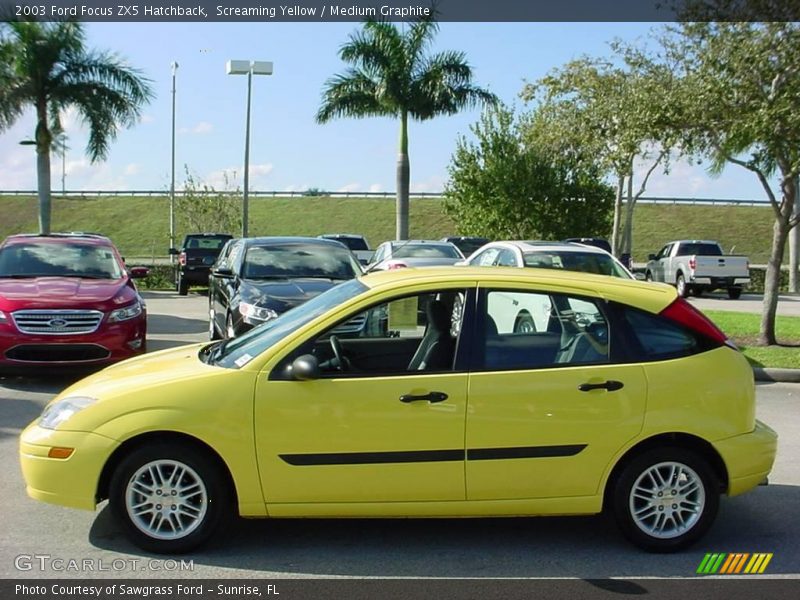 Screaming Yellow / Medium Graphite 2003 Ford Focus ZX5 Hatchback
