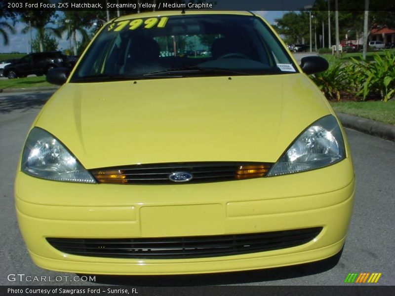 Screaming Yellow / Medium Graphite 2003 Ford Focus ZX5 Hatchback
