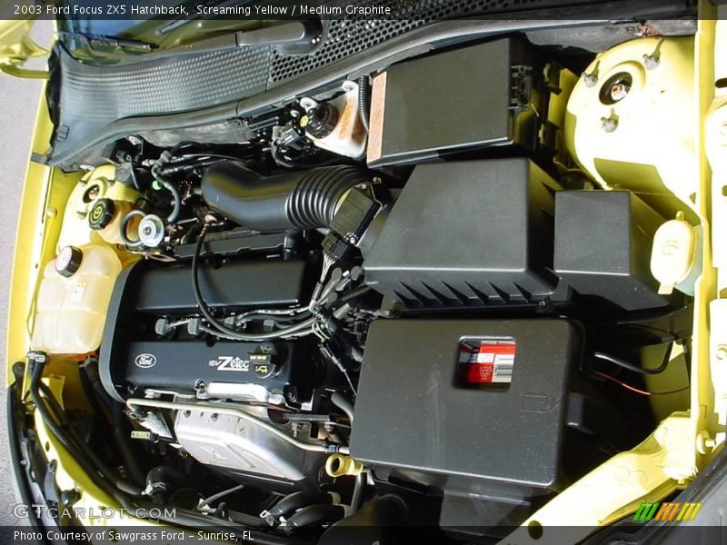 Screaming Yellow / Medium Graphite 2003 Ford Focus ZX5 Hatchback