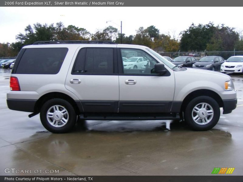 Silver Birch Metallic / Medium Flint Grey 2006 Ford Expedition XLT