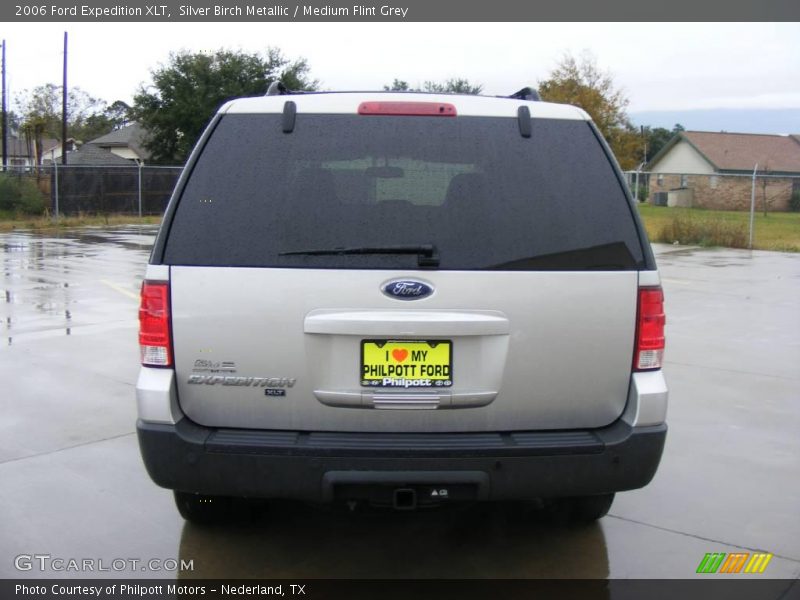Silver Birch Metallic / Medium Flint Grey 2006 Ford Expedition XLT