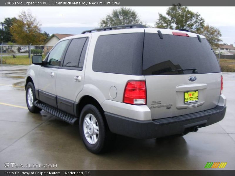 Silver Birch Metallic / Medium Flint Grey 2006 Ford Expedition XLT