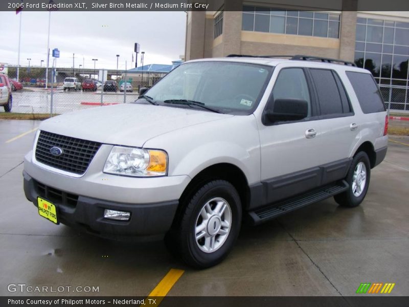 Silver Birch Metallic / Medium Flint Grey 2006 Ford Expedition XLT