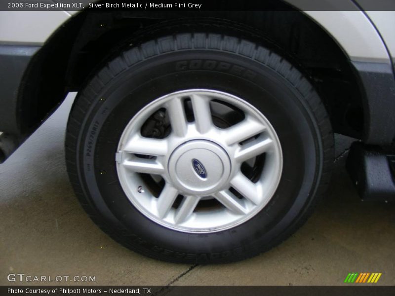 Silver Birch Metallic / Medium Flint Grey 2006 Ford Expedition XLT