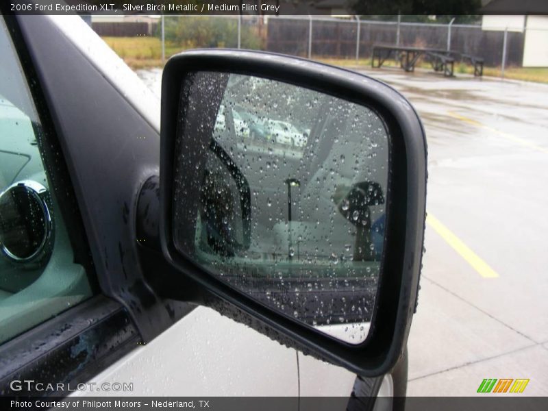 Silver Birch Metallic / Medium Flint Grey 2006 Ford Expedition XLT