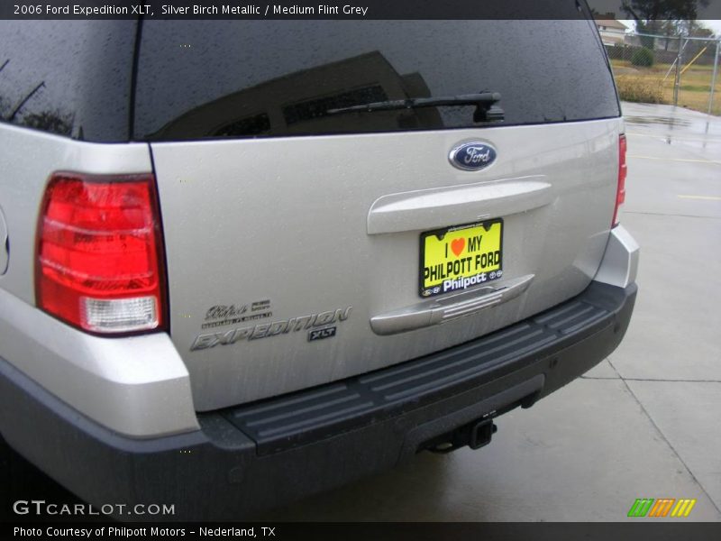 Silver Birch Metallic / Medium Flint Grey 2006 Ford Expedition XLT