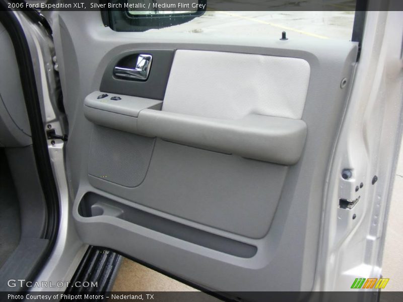 Silver Birch Metallic / Medium Flint Grey 2006 Ford Expedition XLT