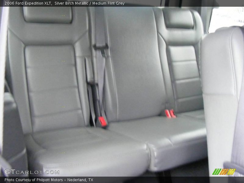 Silver Birch Metallic / Medium Flint Grey 2006 Ford Expedition XLT